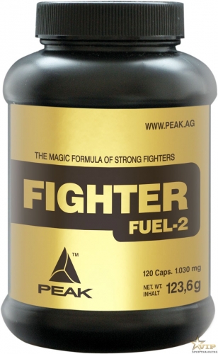 dress1